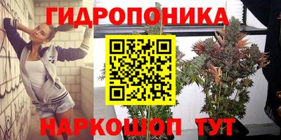 spice Жуковский