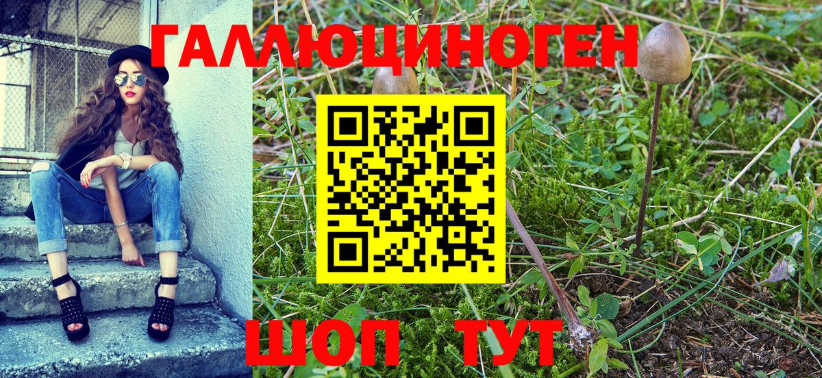 Псилоцибиновые грибы Psilocybe  Псилоцибиновые грибы мухоморы  цены   Вход с VPN  Усть-Илимск 